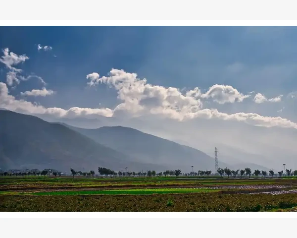 梨妙用：清肺化痰，守护呼吸健康